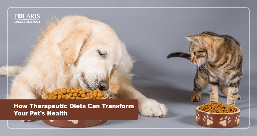 How Therapeutic Diets Can Transform Your Pet’s Health